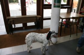 IMG_0753