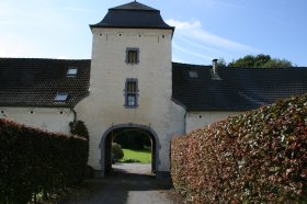 IMG_0788