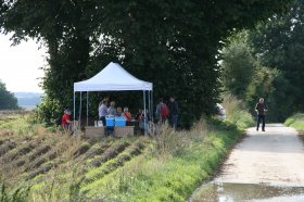 IMG_0902