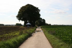 IMG_0903